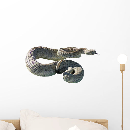 Rattle Snake Wall Decal