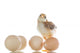pretty cute chick with eggs Wall Decal