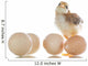 pretty cute chick with eggs Wall Decal