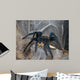 Vogelspinne Wall Mural