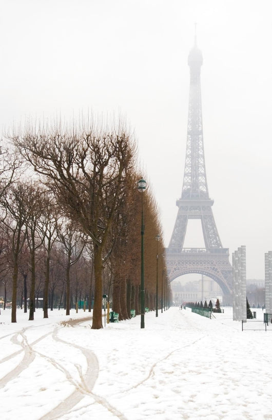 Snowy day in Paris - misty Eiffel Tower and lots of snow Wall Mural