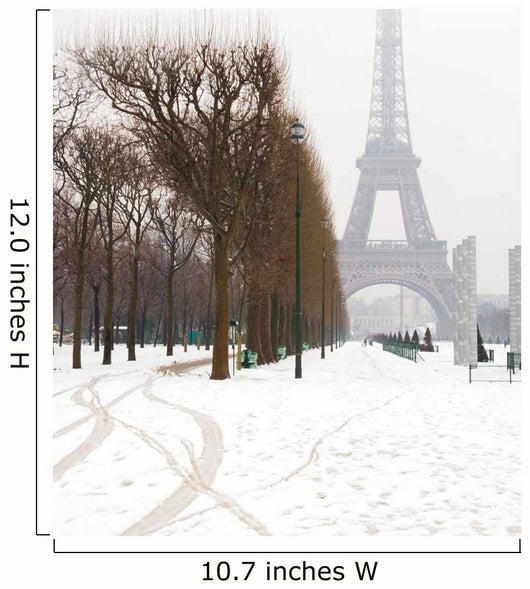 Snowy day in Paris - misty Eiffel Tower and lots of snow Wall Mural