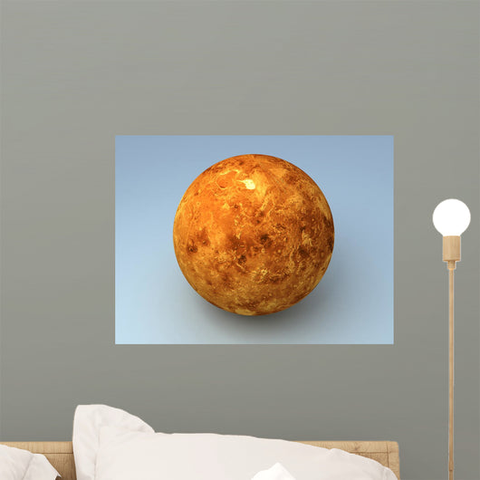 Venus Planet Wall Mural
