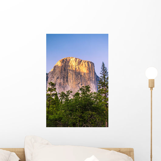 View of landmark El Captain formation from Yosemite National Park Wall Mural