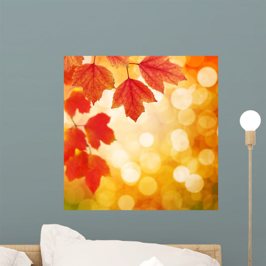 branch with autumn leaves Wall Mural