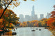 Central Park Autumn Wall Mural
