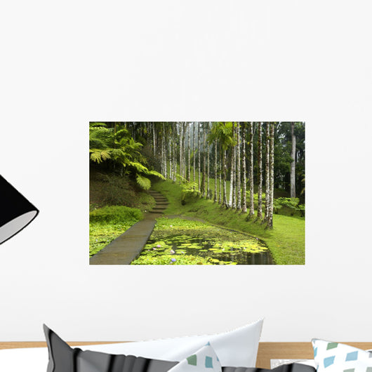 France, Martinique, backyard Wall Mural