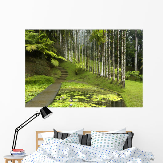 France, Martinique, backyard Wall Mural