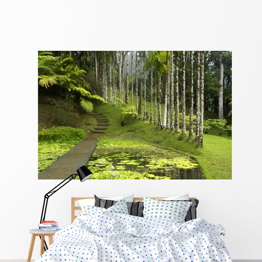 France, Martinique, backyard Wall Mural