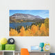Magic beauty blue lake in Yosemite Park Wall Mural