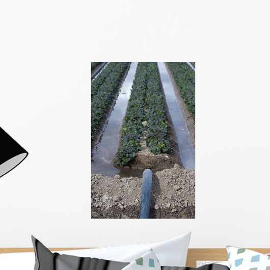 Irrigation System Wall Mural