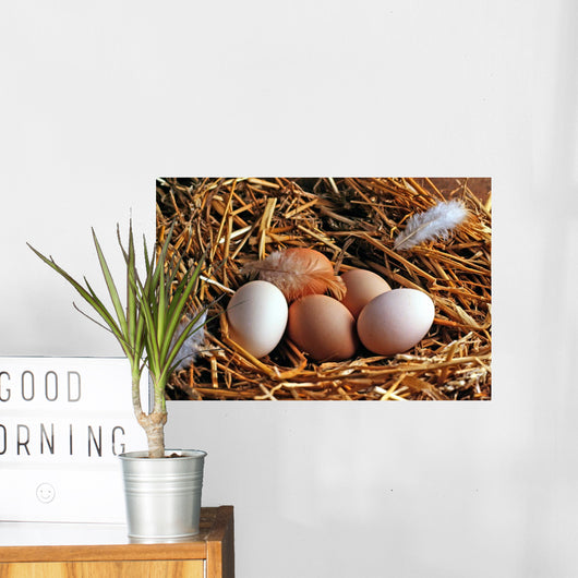 The Nest Wall Mural