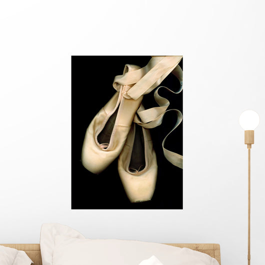 Worn Ballet Pointe Shoes Wall Mural