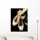 Worn Ballet Pointe Shoes Wall Mural