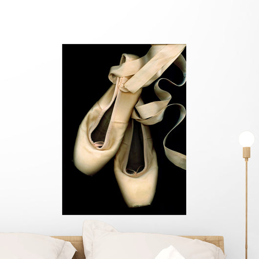 Worn Ballet Pointe Shoes Wall Mural
