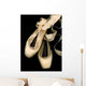 Worn Ballet Pointe Shoes Wall Mural