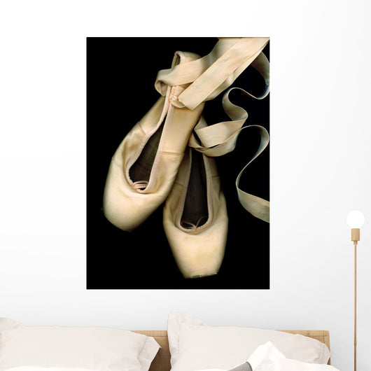 Worn Ballet Pointe Shoes Wall Mural