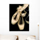 Worn Ballet Pointe Shoes Wall Mural