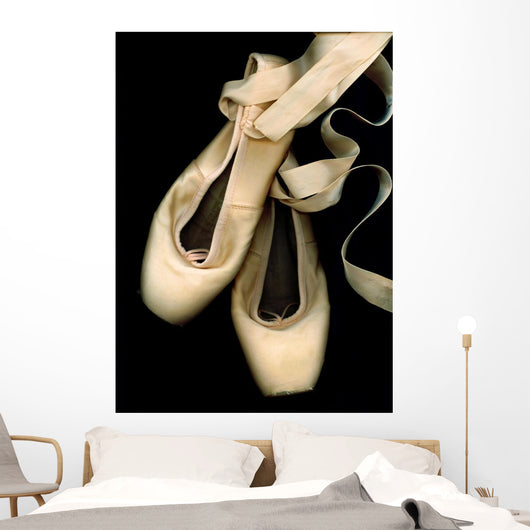 Worn Ballet Pointe Shoes Wall Mural
