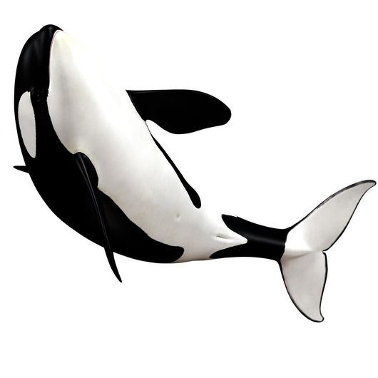 Orka Wall Decal
