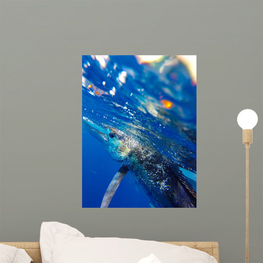 Blue Marlin Wall Mural