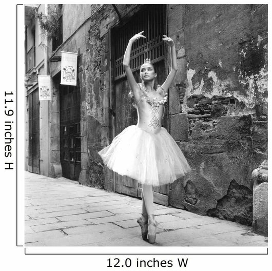 Dancer 5 Wall Mural