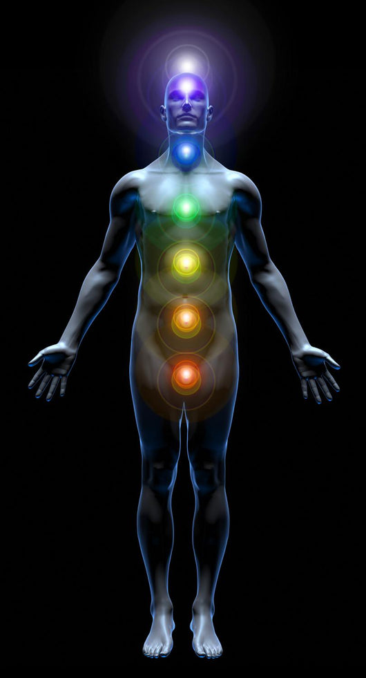 Human Chakra Wall Mural