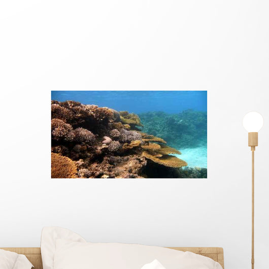 Acropora Corals Wall Decal