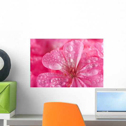 macro of pink geranium flowers with water droplets Wall Mural