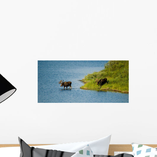 Moose Crossing Wall Mural