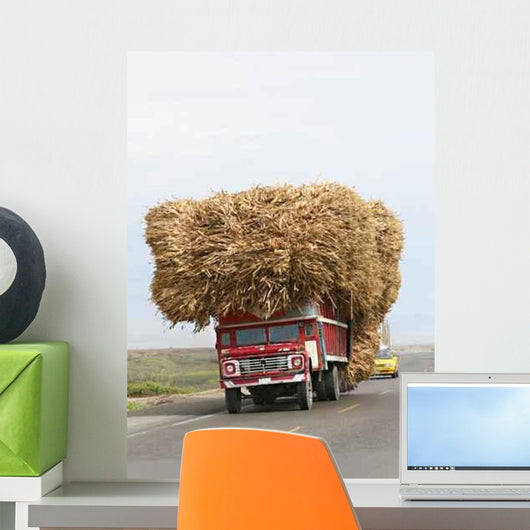 Sugar Cane Transport Wall Decal