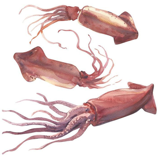 Watercolor Pink Squid Wall Decal Sticker Set