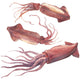 Watercolor Pink Squid Wall Decal Sticker Set