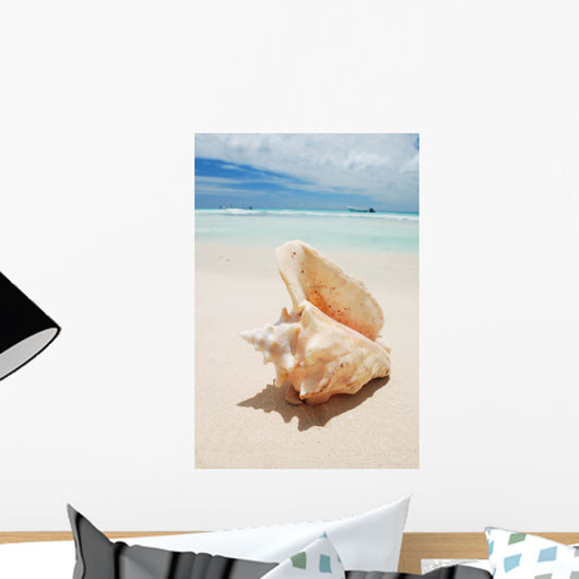 Shell in the Caribbean Wall Mural