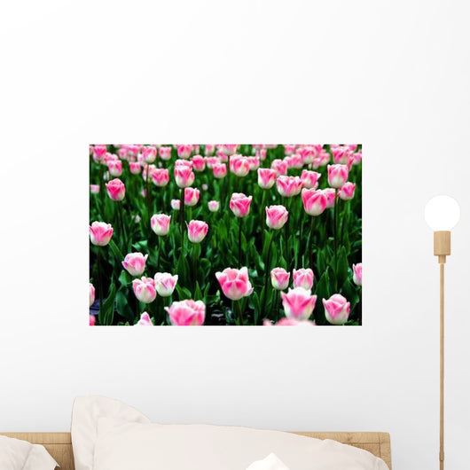 Tulpenfeld Wall Decal