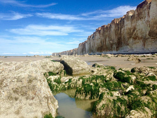 Steilküste Normandie Wall Mural