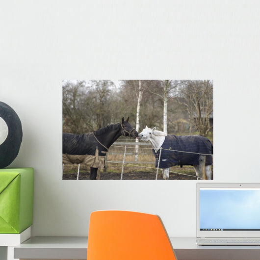 Horses Winter Brandenburg Wall Mural