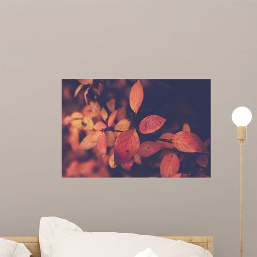 Branch with orange leaves, autumn background Wall Mural