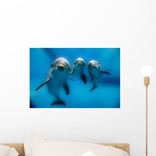 Three Dolphins Underwater Wall Decal
