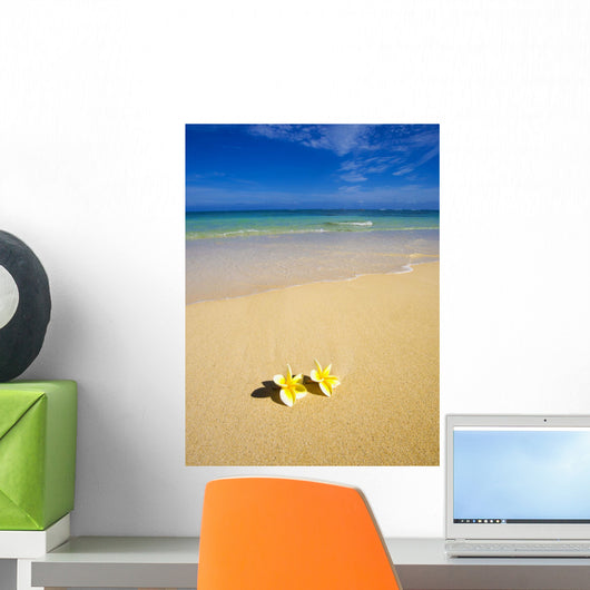 Plumeria Blossoms Lie on White Sand Wall Mural