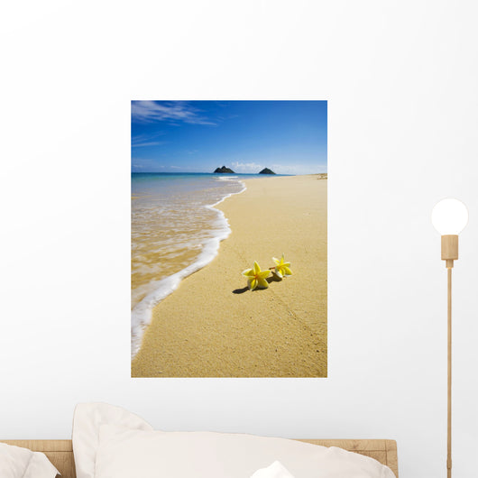 plumeria blossoms lie on white sand by the tropical pacific Wall Mural