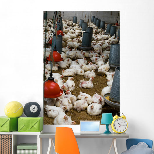 The farm for raising broilers Wall Mural