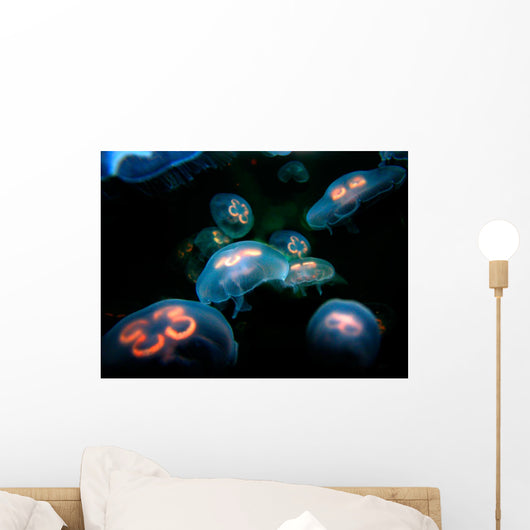 Jelly Fish Wall Mural