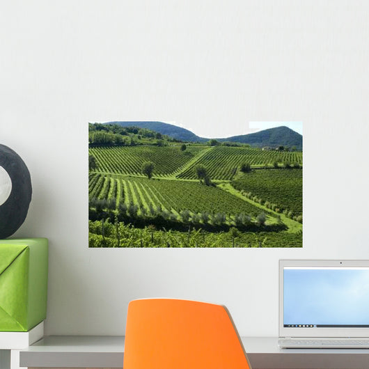 Italian Vineyards 6 Wall Decal