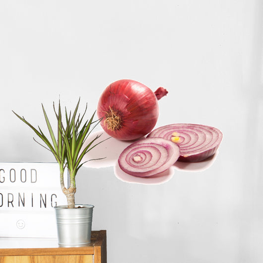 Onions Wall Decal