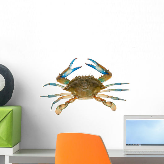 Blue crab isolated on white background Wall Decal