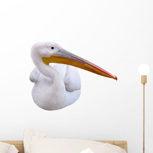Seated Pelican Wall Decal