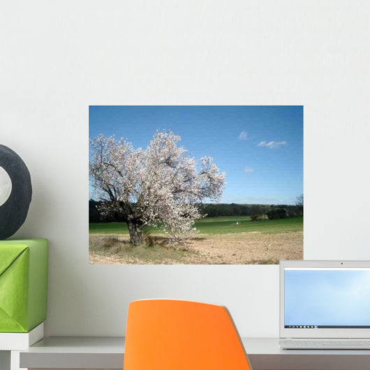 Spring Wall Decal Design 1