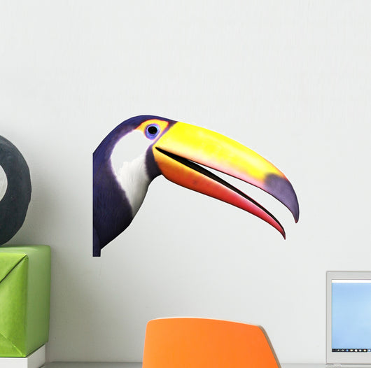 Closeup Toucan Bird Wall Decal