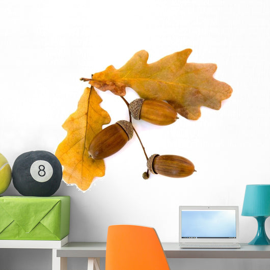 Beautiful Autumnal Oak Leaves Wall Decal